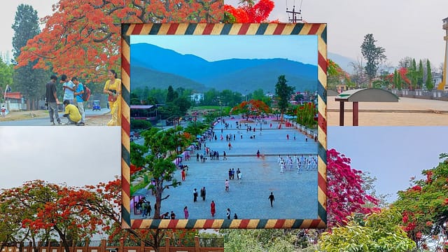 शान्त वीरेन्द्रनगर, ढकमक्क गुल्मोहर [तस्बिरहरु]